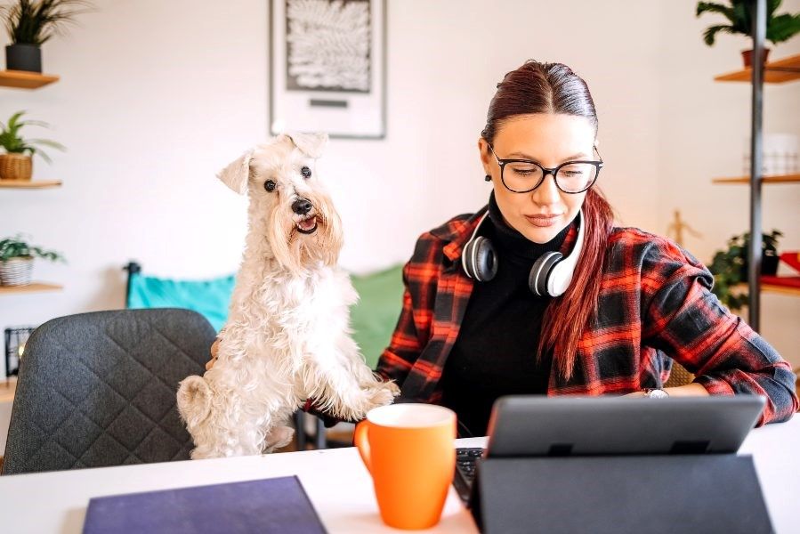 A person sitting at a desk with a dog