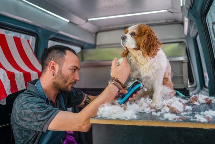 A man grooming a dog